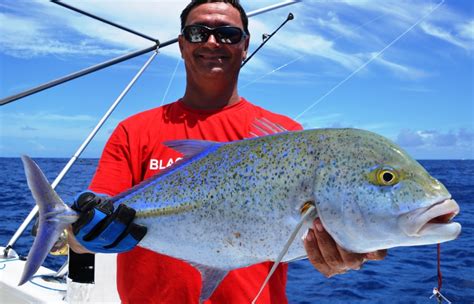 Bluefin trevally or Caranx melampygus - Rod Fishing club