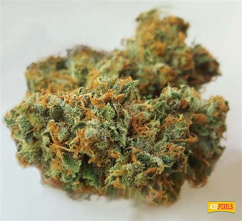 Do-Si-Dos - Strain Information - CannaConnection