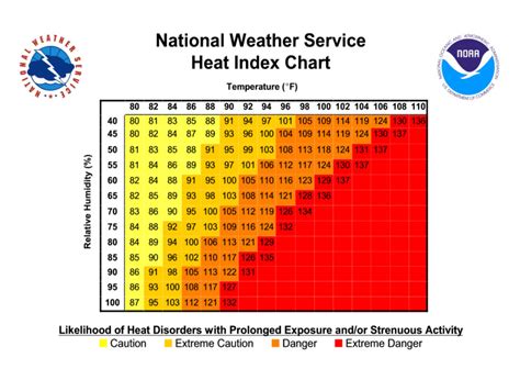 Summer Running Survival Guide: 10 Tips for Running in Heat & Humidity ...