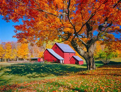 10,400+ Vermont Fall Stock Photos, Pictures & Royalty-Free Images - iStock