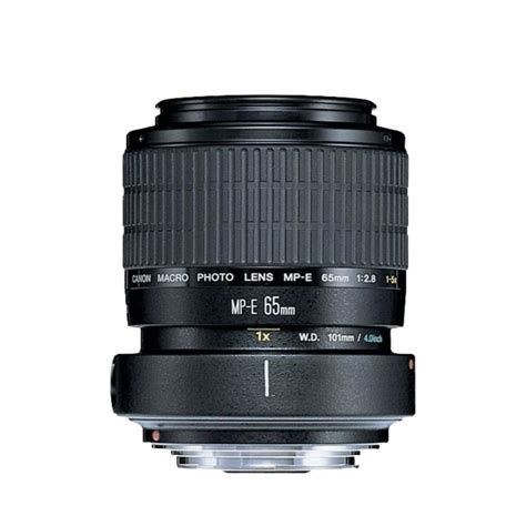 Top 6 Macro Lenses for Macro Photography