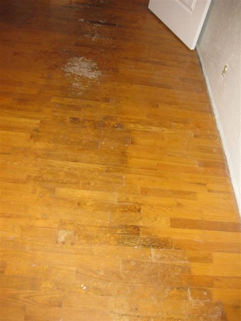 How to Varnish a Wooden Floor? - Wood Finishes Direct