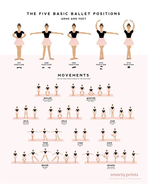 Ballet Dance Poster Ballet Positions & Movements Ballerina - Etsy