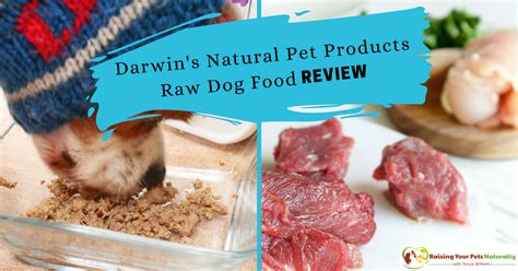 Best Raw Dog Food Reviews: Darwin’s Natural Pet Products Raw Dog Food Review ~ Raising Your Pets ...