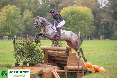 Irish Sport Horses shine at FEI World Breeding Championships for Young Eventing Horses in Le ...