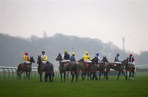 Haydock races: tips, racecards and preview for the Tommy Wittle meeting ...