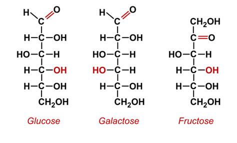 IIT JEE Carbohydrates - JEE Carbohydrates Amino Acids Study Material