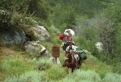 Camping Opportunities Abound on Northeastern Nevada’s Humboldt-Toiyabe ...