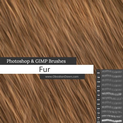 Fur Photoshop Brushes by redheadstock on DeviantArt