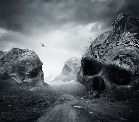 nature, Landscape, Dirtroad, Death, Monochrome, Birds, Flying, Dark ...