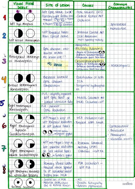 VISUAL PATHWAY & VISUAL FIELD LESIONS | Optometry education, Optometry students, Eye facts