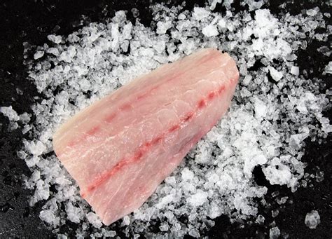 White Seabass Fillet—Premium Online Fish Market Catalina OP