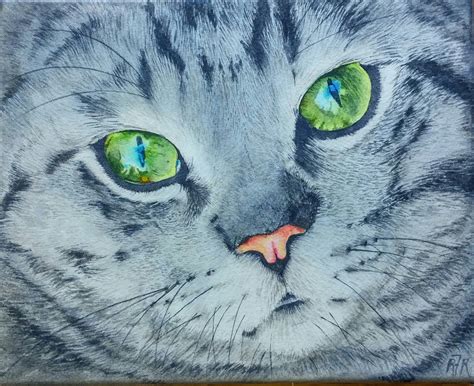 In this tutorial you will see how to paint a watercolor grey striped cat with beautiful ...