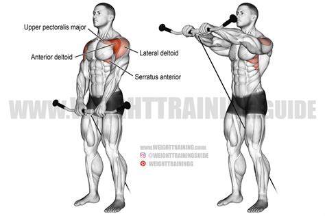 Cable front raise exercise instructions and video | Weight Training Guide | Shoulder workout ...