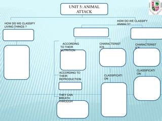 Unit 4 animals | PPT