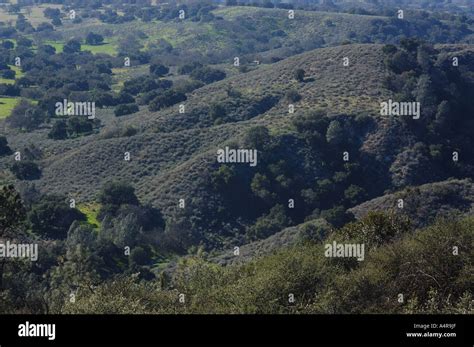 Los Padres National Forest Stock Photo - Alamy