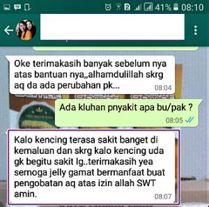 Obat Penghancur Batu Kandung Kemih – obat herbal