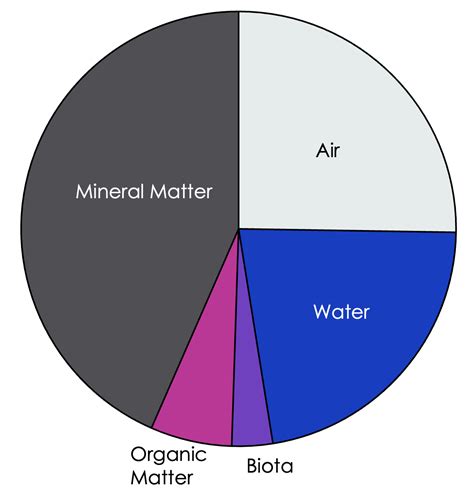 What to know about soil?