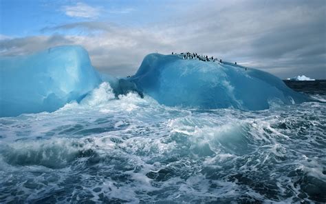 nature, Landscape, Sea, Waves, Antarctica, Iceberg, Glaciers, Animals, Penguins, Snow Wallpapers ...