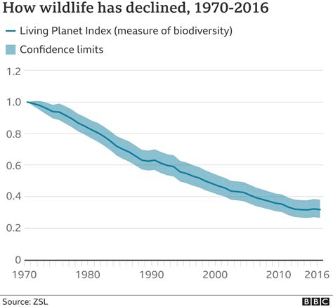 Wildlife in 'catastrophic decline' due to human destruction, scientists warn