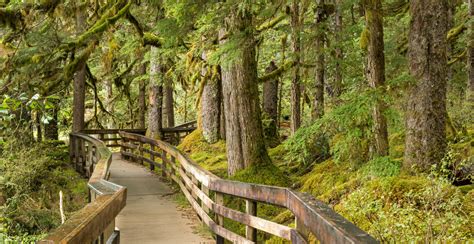 Glacier Bay National Park - Off the Beaten Path