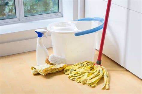 10 Best Mop Bucket - 2021 Review