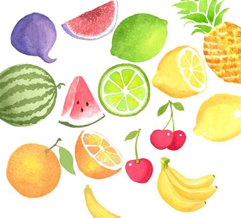 Watercolor Summer Fruits Clipart Set Citrus Fruit | Etsy Hong Kong