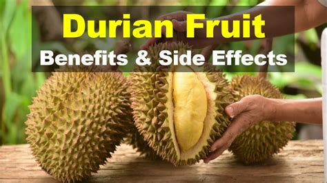 Durian Fruit Benefits and Side Effects, Is Durian Good For You - YouTube