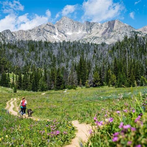 10 Hiking Essentials In Big Sky Country