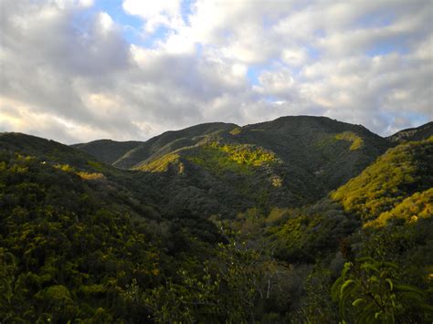 Hiking at Topanga State Park | Topanga state park, State parks, Topanga canyon