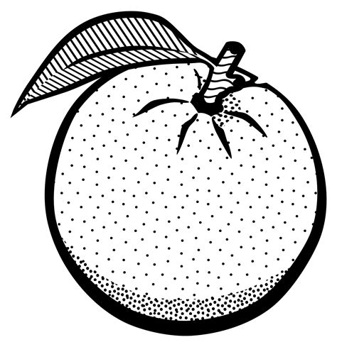 Oranges clipart black and white, Oranges black and white Transparent FREE for download on ...