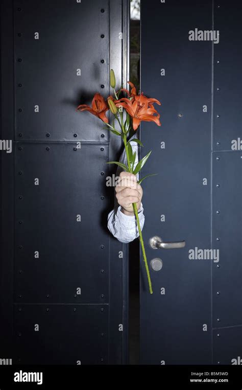 A hand holding flowers Stock Photo - Alamy