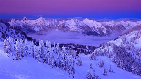 Purple, clouds, snow, winter, mountains, trees, sky, nature, landscape wallpaper | photography ...