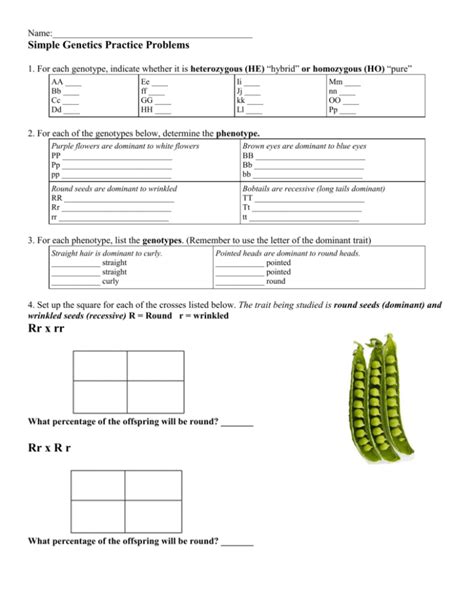 Genetics Traits And Heredity Worksheets