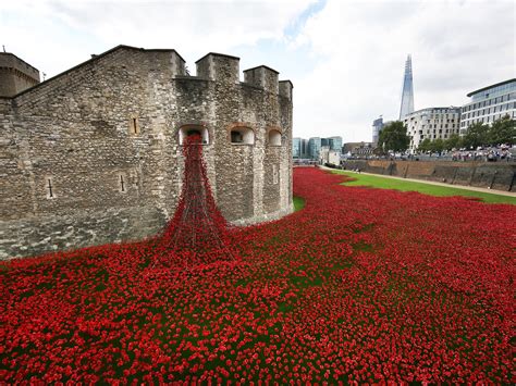 The Tower of London poppies are an extraordinary memorial - which some fail to grasp | The ...