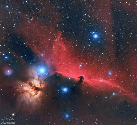 Flame Nebula Constellation Orion