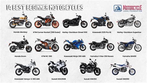 14 Best Beginner Motorcycles for All Types of Riders