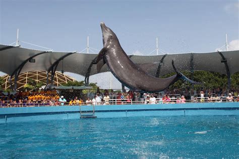 Miami Seaquarium, Miami, FL, United States - Theme-Park Review - Condé ...