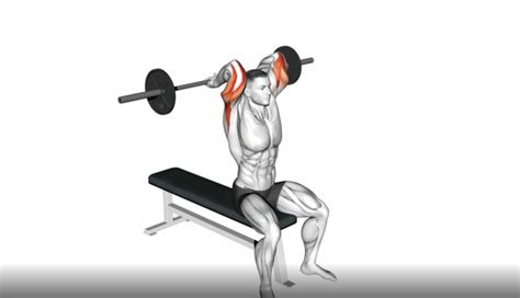 Triceps Extension (barbell) - Expert Tips and Mistakes to Avoid