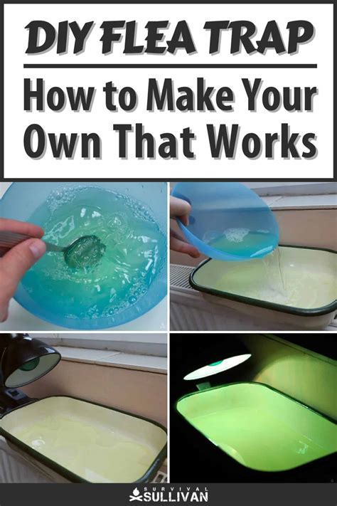 DIY Flea Trap: How to Make Your Own That Works