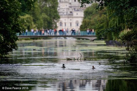 12 Secrets Of St James's Park | Londonist