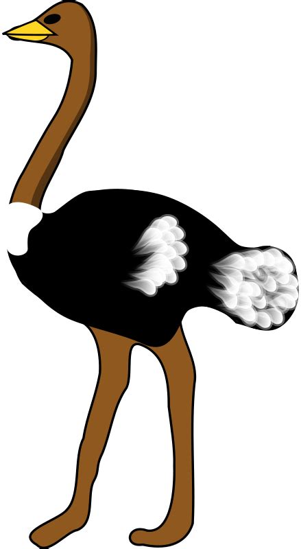 Free clip art "Ostrich" by rpzboray