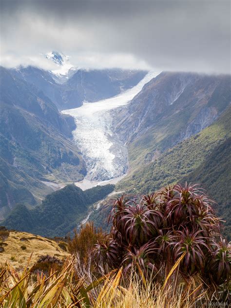 Fox Glacier | New Zealand | Mountain Photography by Jack Brauer