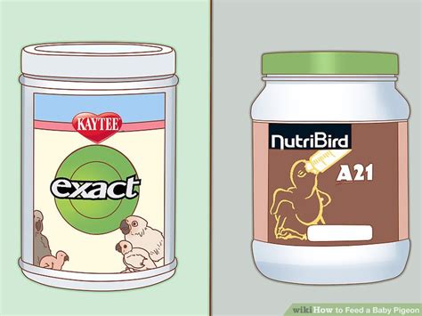 Easy Ways to Feed a Baby Pigeon: 12 Steps (with Pictures)