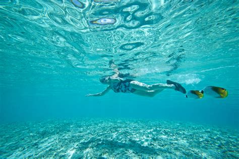 Top Tips for Snorkeling in the Maldives | AccorHotels