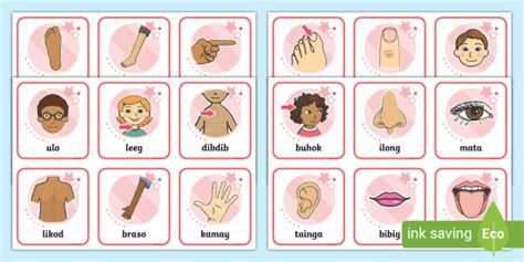 Mga Bahagi Ng Katawan (Flashcards) | Preschool | Twinkl