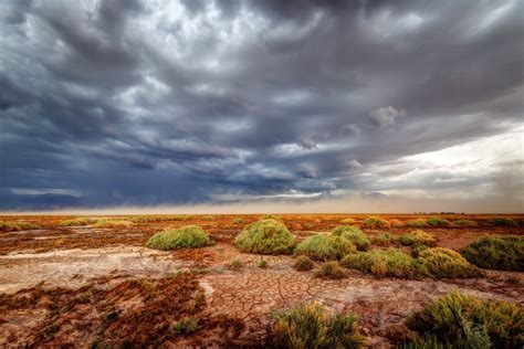 Rare Rainfall in the Atacama Is Deadly for Its Tiniest Inhabitants | Live Science