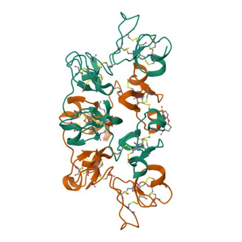 RCSB PDB - 1WGT: X-RAY STRUCTURE OF WHEAT GERM AGGLUTININ ISOLECTIN 3