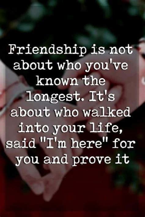 38 True Friendship Quotes – Best Friends Forever Quotes 25 – Daily Funny Quotes