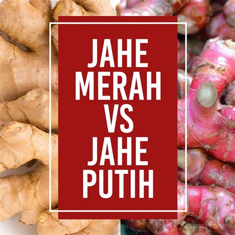 Jahe Merah Vs Jahe Putih - Cairo Food